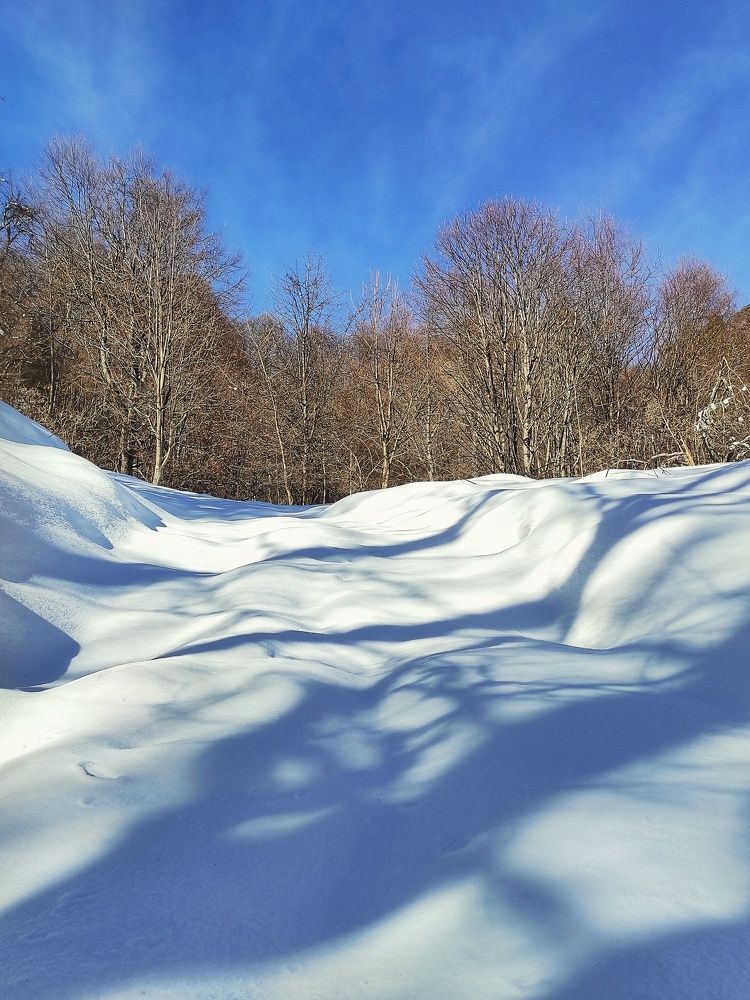 Photograph by Владимир Караман