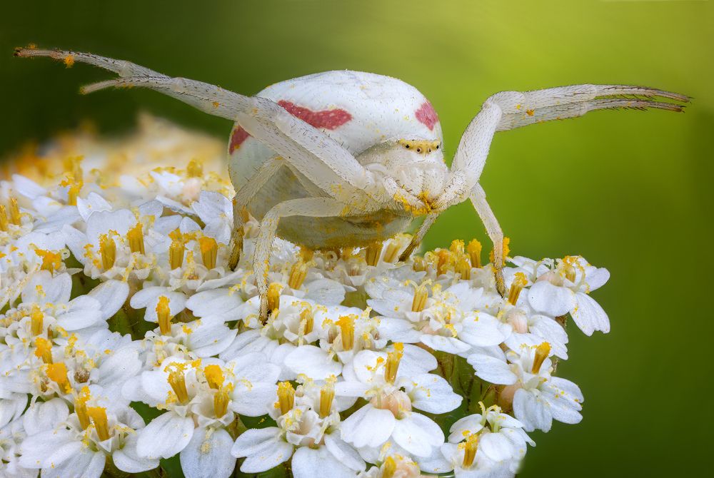 Photograph by Кузнецов Дмитрий
