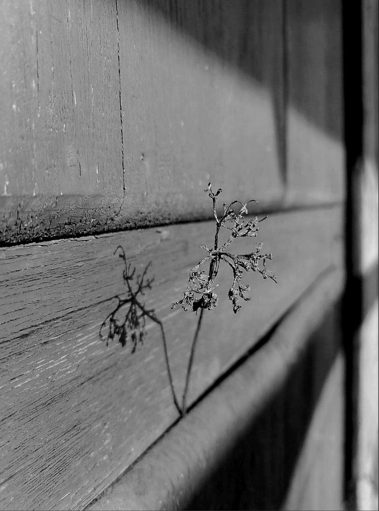 Photograph by Ольга