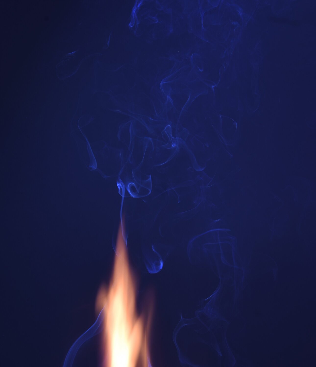 Photo #5621616