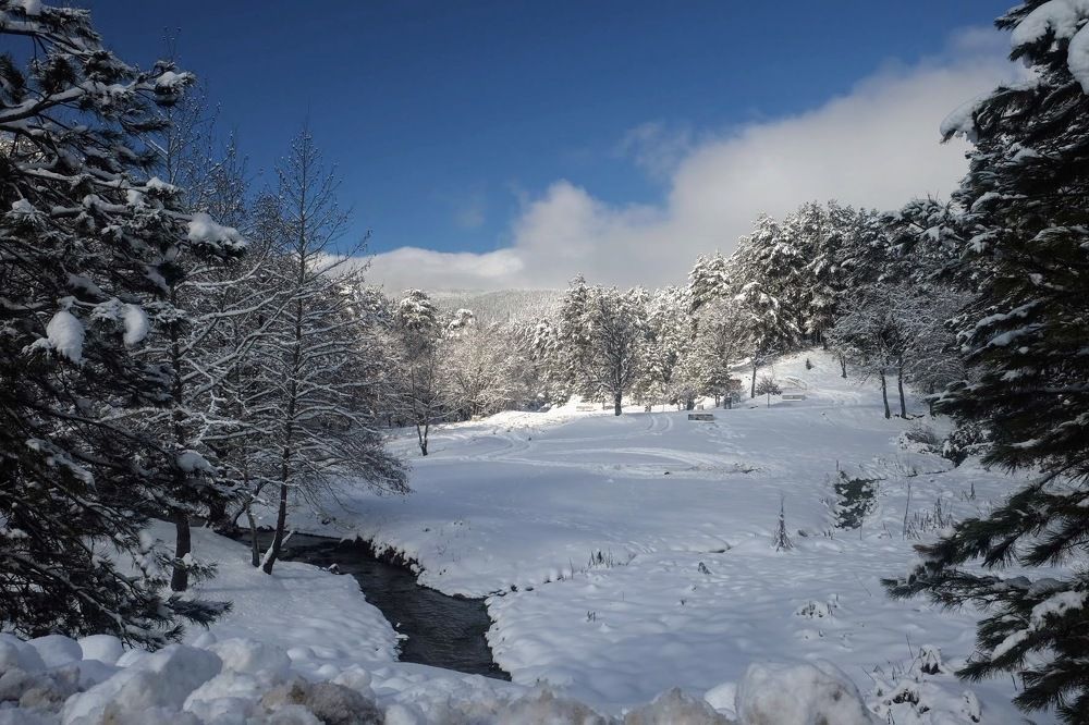 Photograph by Eylem Barış