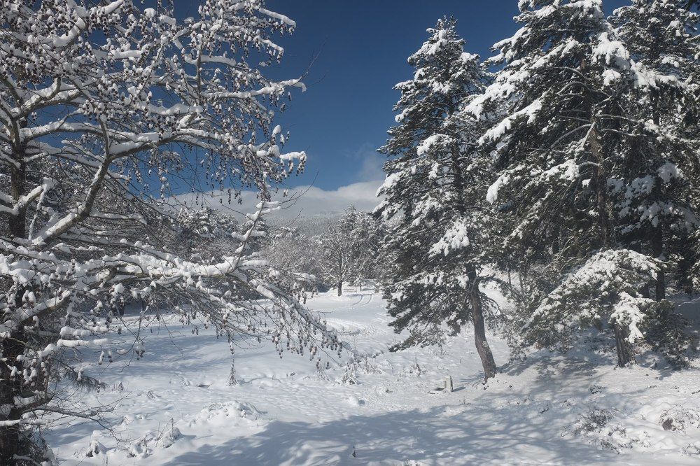 Photograph by Eylem Barış