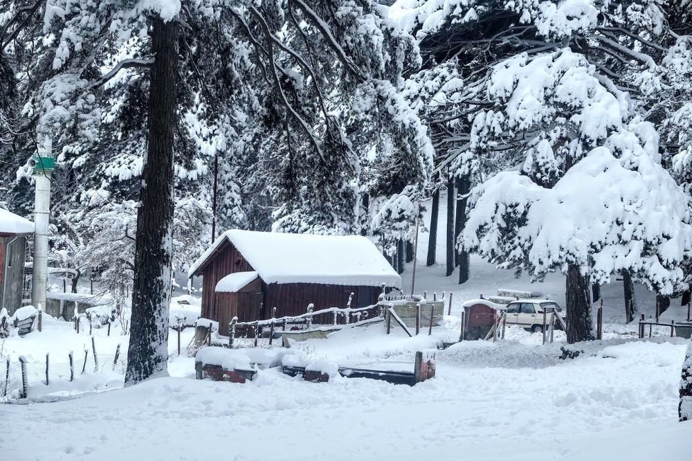 Photograph by Eylem Barış