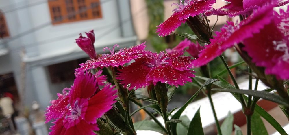 Photo #5621700