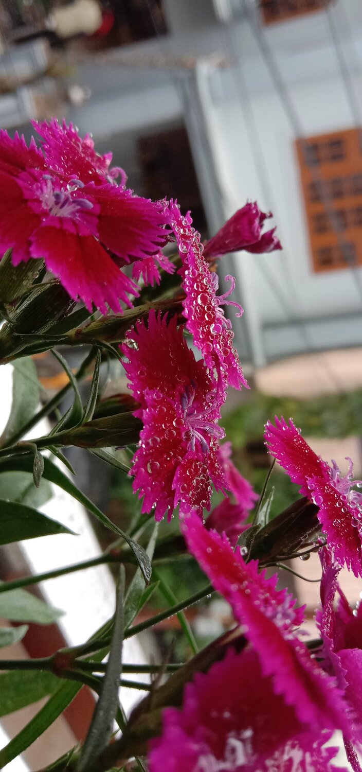Photo #5621700