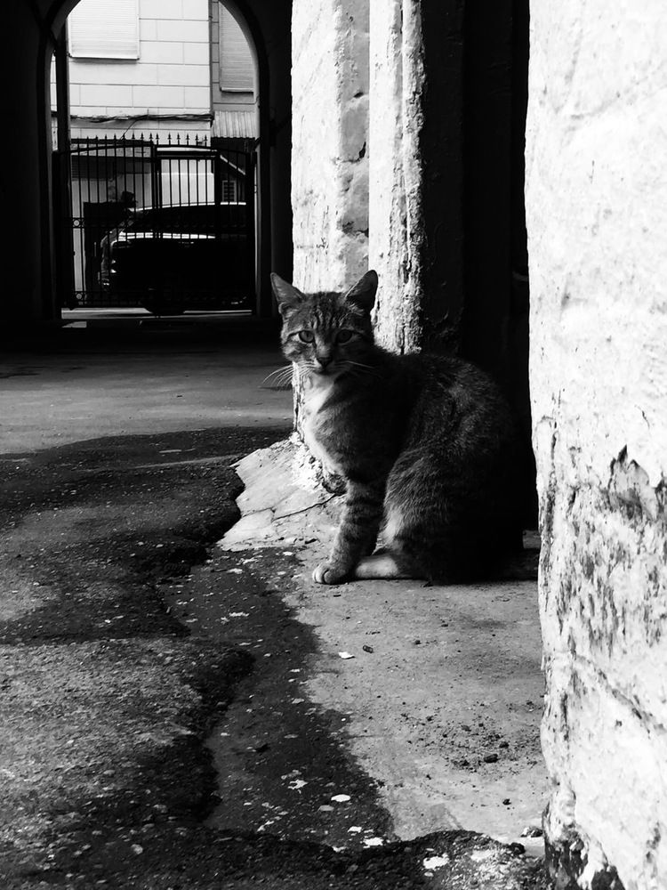 Photograph by Игнат Щеглов