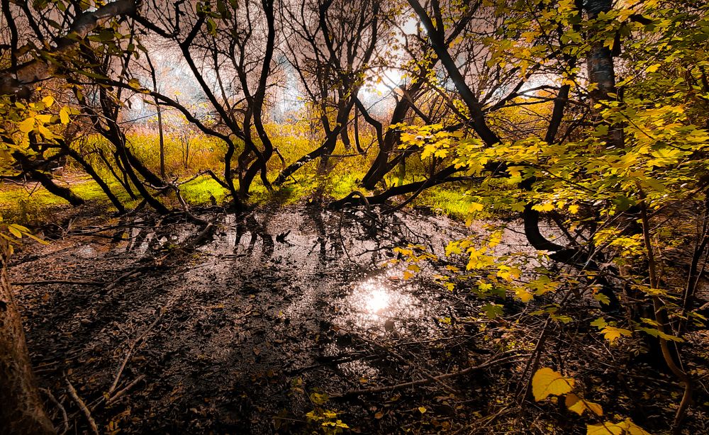 В ярком наряде.