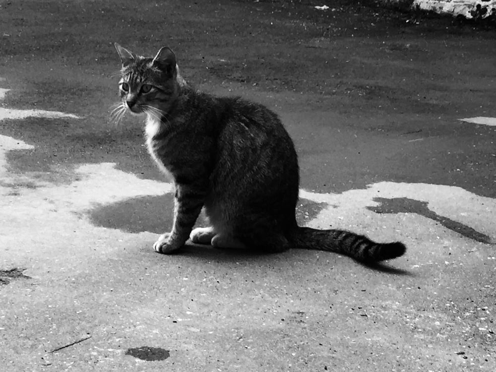 Photograph by Игнат Щеглов