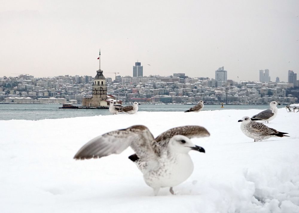 Photograph by Sezai Özaltın