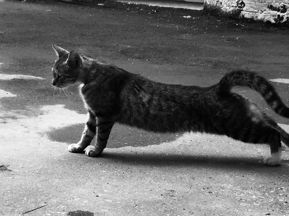 Photograph by Игнат Щеглов