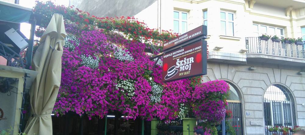 Photograph by Lidija Jevremovic