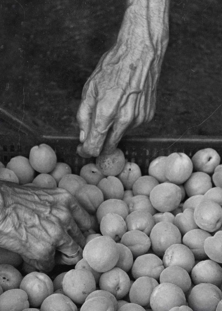 Photograph by Анфиса Снигур