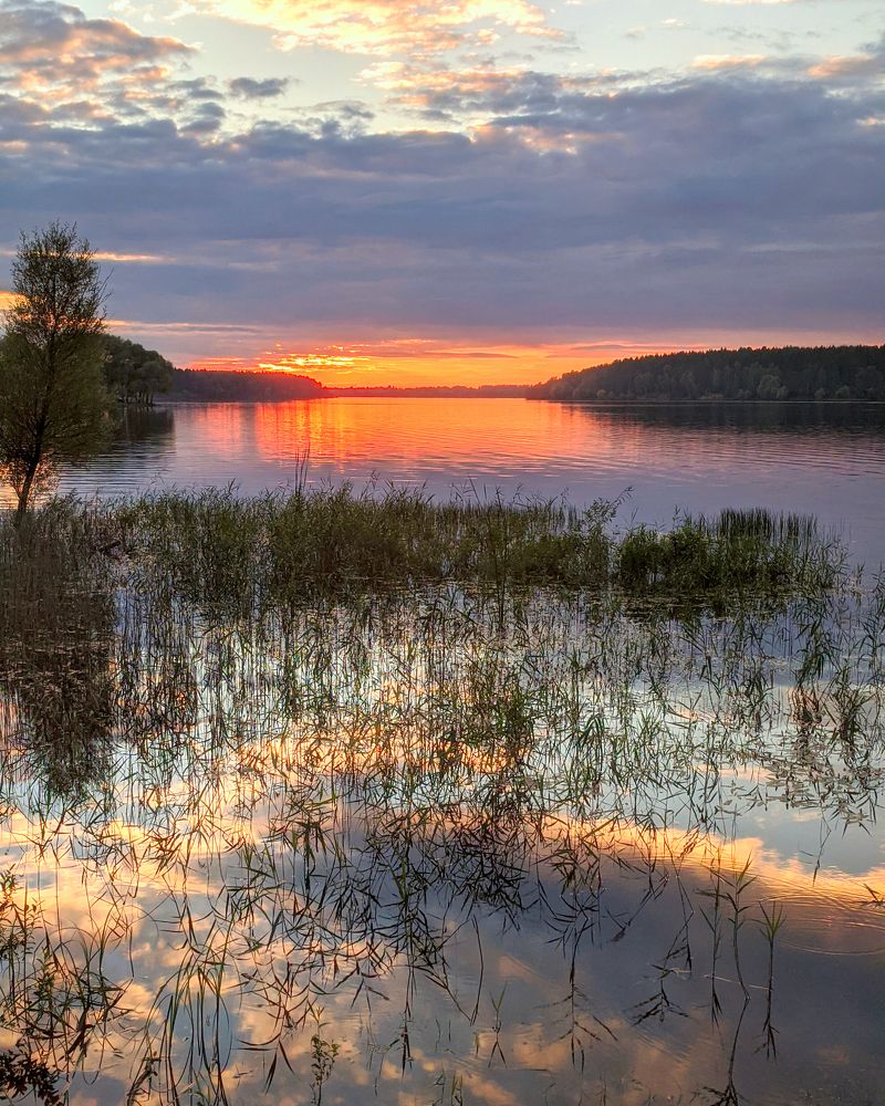 Photograph by Яр Ник