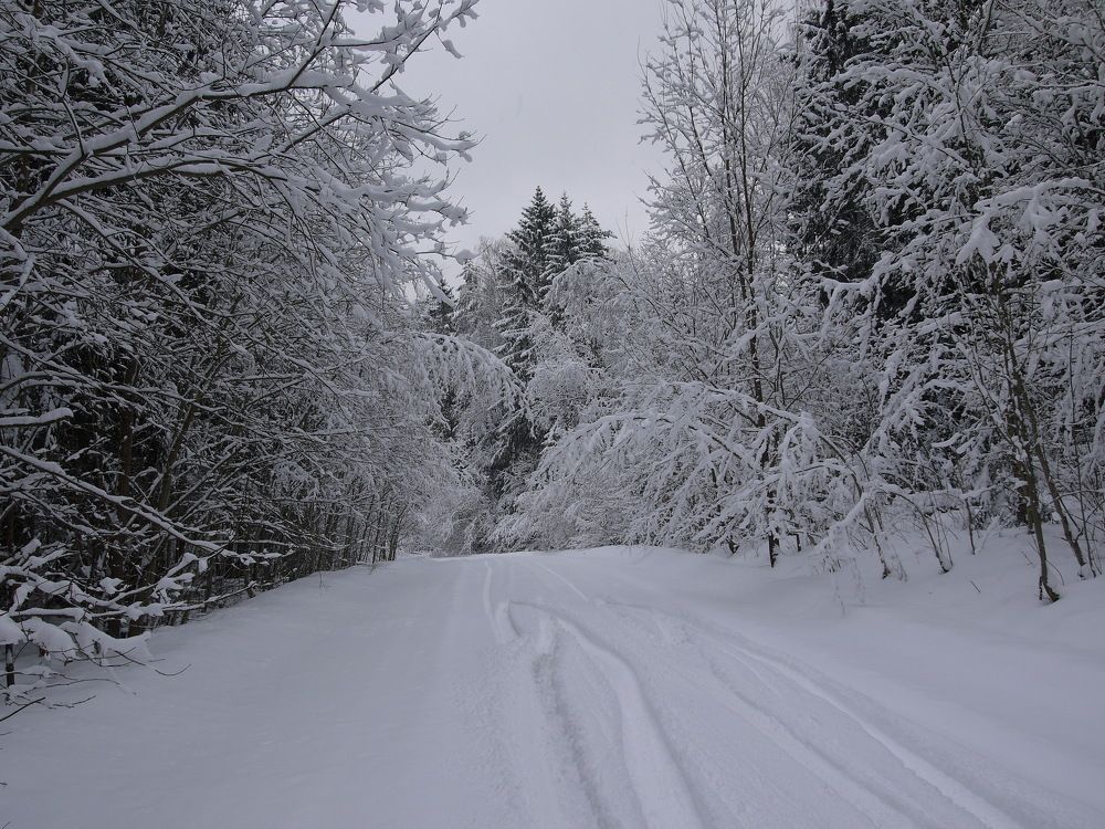 Photograph by Иван Скрипкин