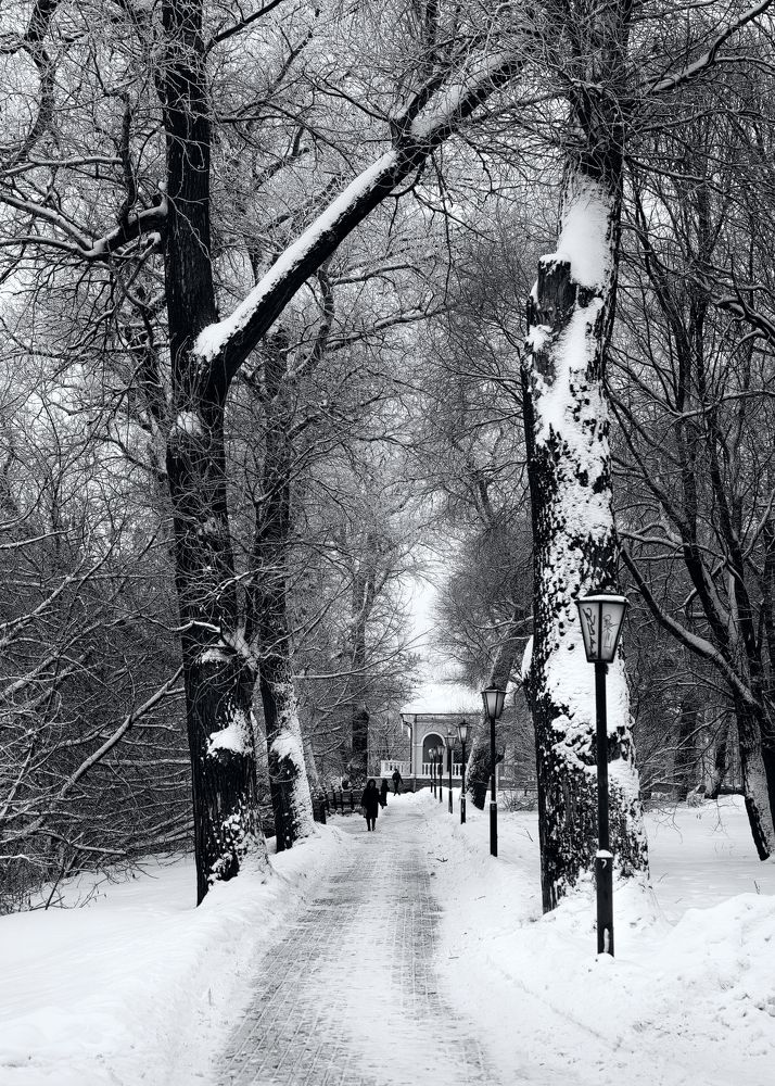 Photograph by Сергей Калинин