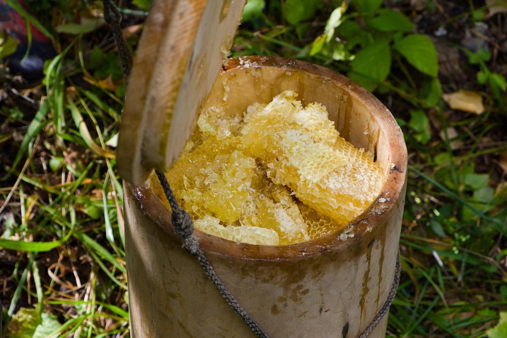 Photograph by Вадим Коротеев