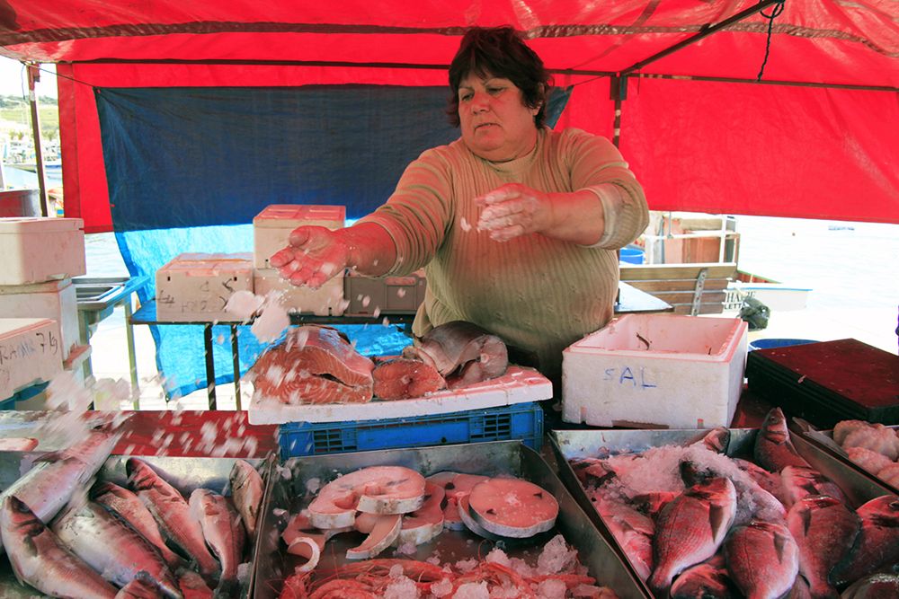 Photograph by juan francisco zamora salmeron