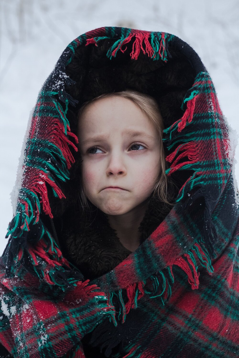 Photo #5621958
