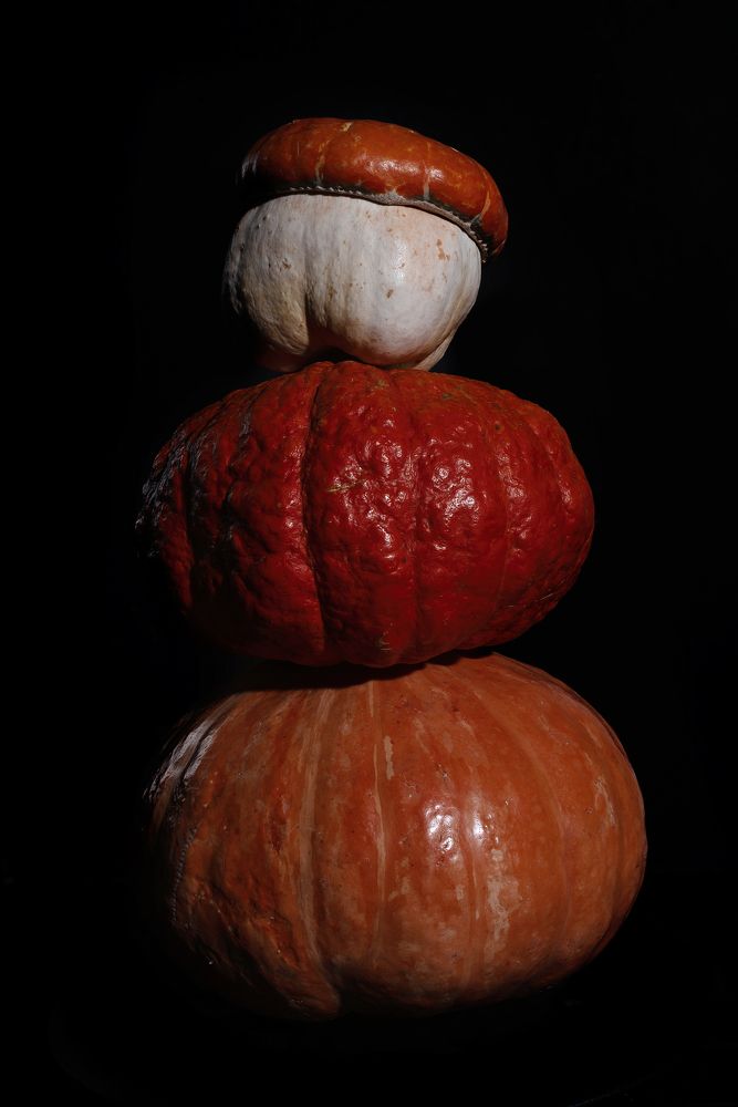 Фотография автора Антон Кандаков