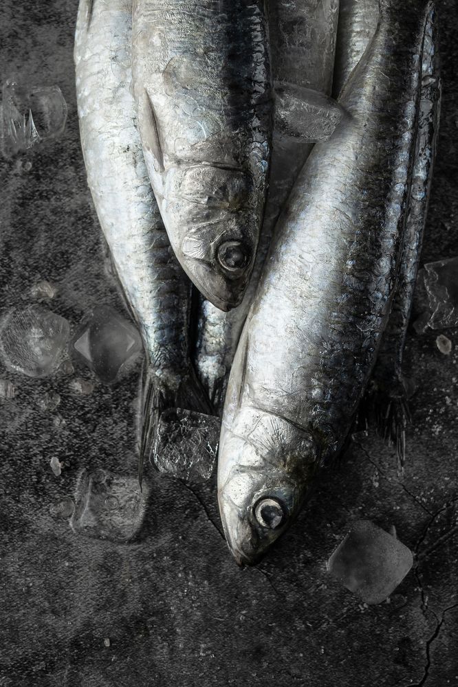 Photograph by Yuliia Pashentseva