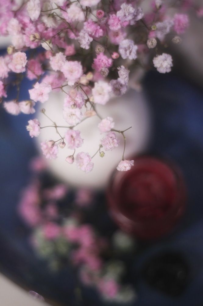 Photograph by Ирина Попкова