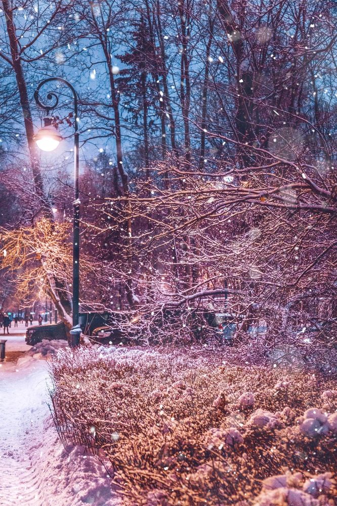 Photograph by Шувалова Мария