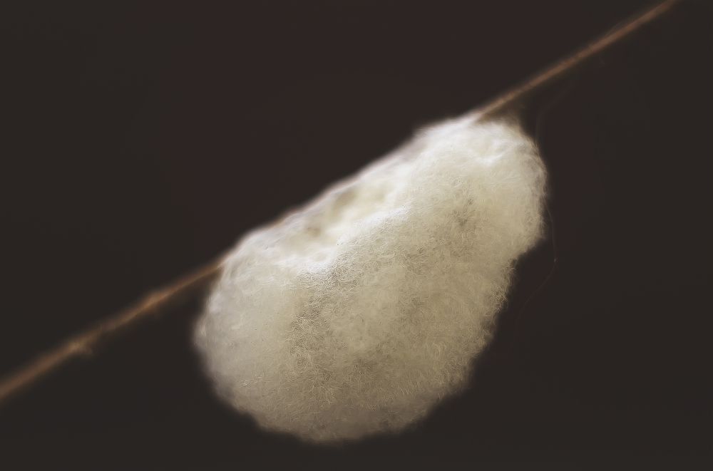 Сладкий сон