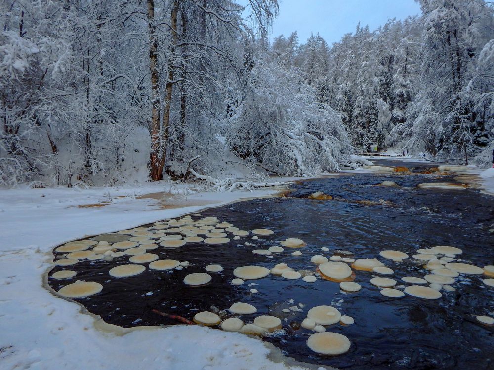 Фотография автора Boris Yakovlev