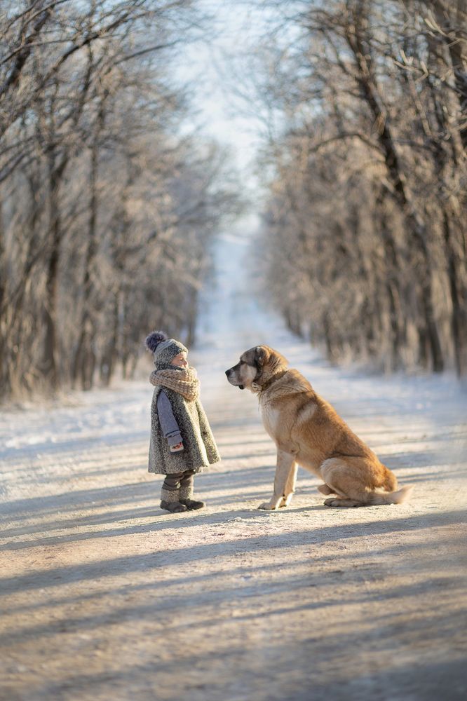 Photograph by Александра Сырьянова