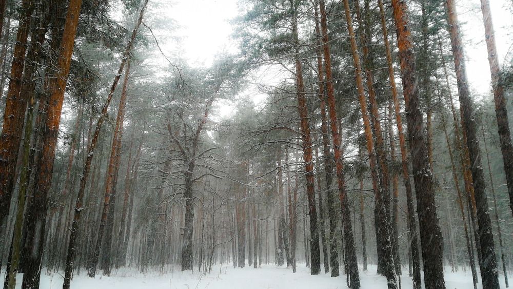 Photograph by Валерия Павлова