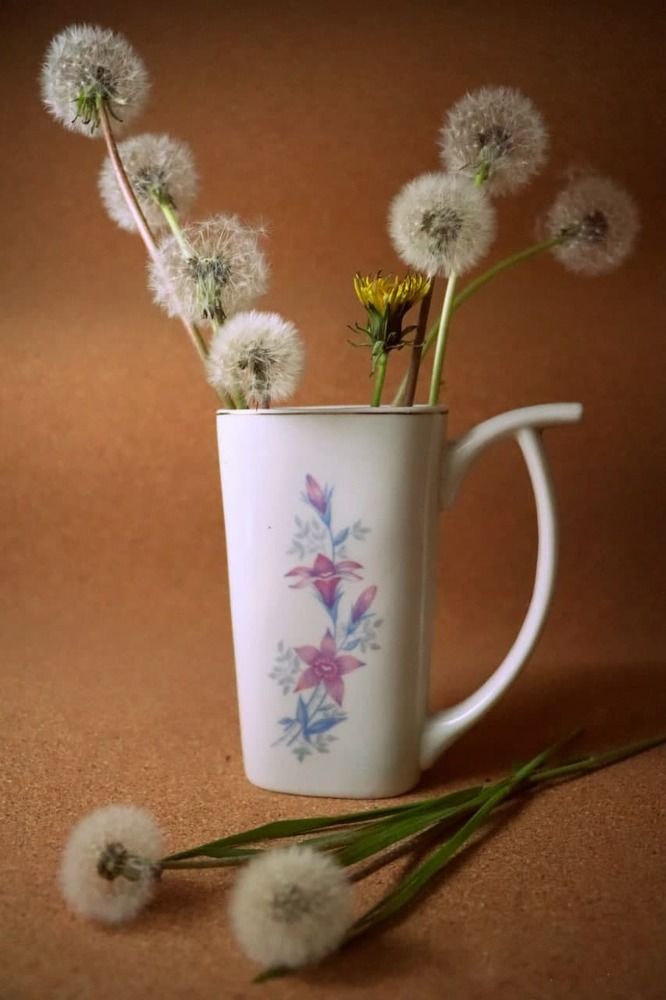 Photograph by Алла Боброва