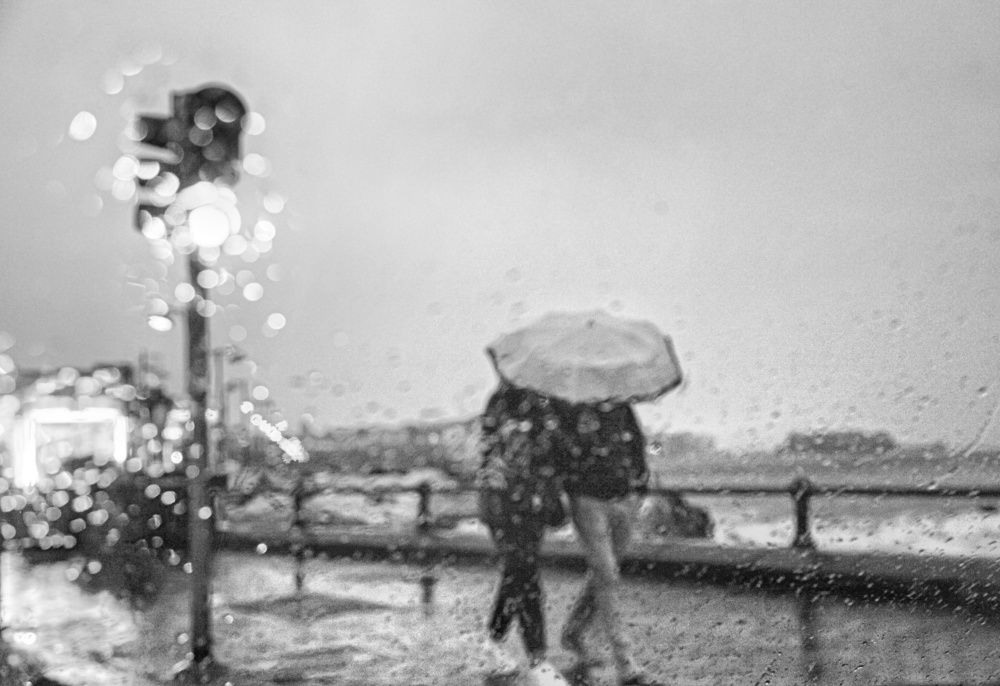 Photograph by Sax