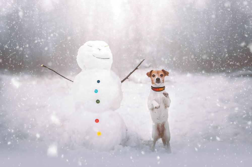 Photograph by Dorota Horváthová