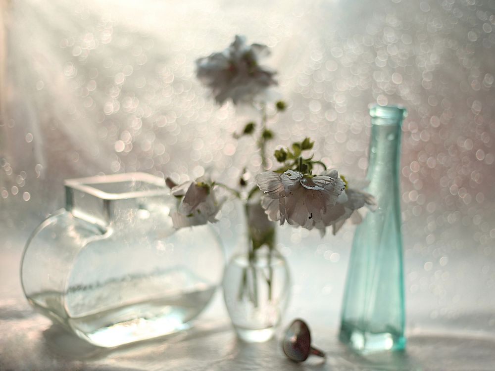 А за окном бушует май.