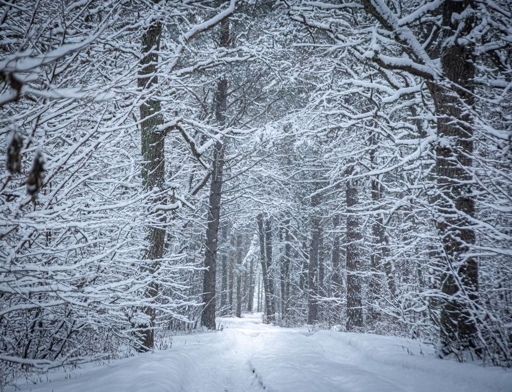 Photograph by Stella Talberg