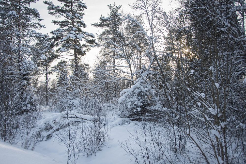 Photograph by Stella Talberg