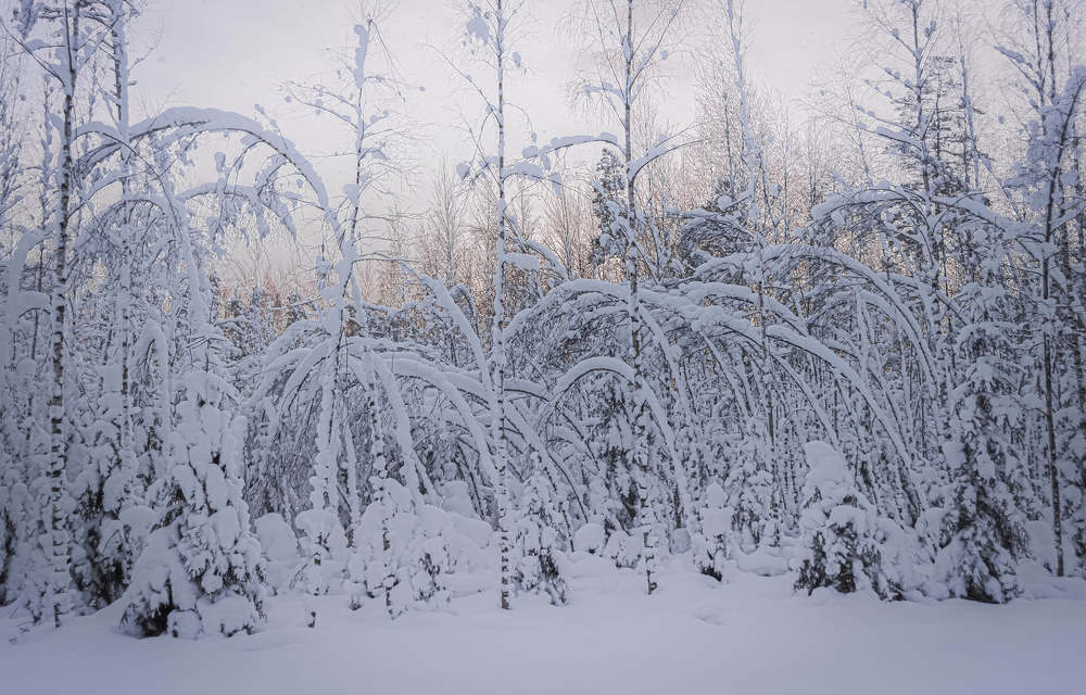 Photograph by Stella Talberg