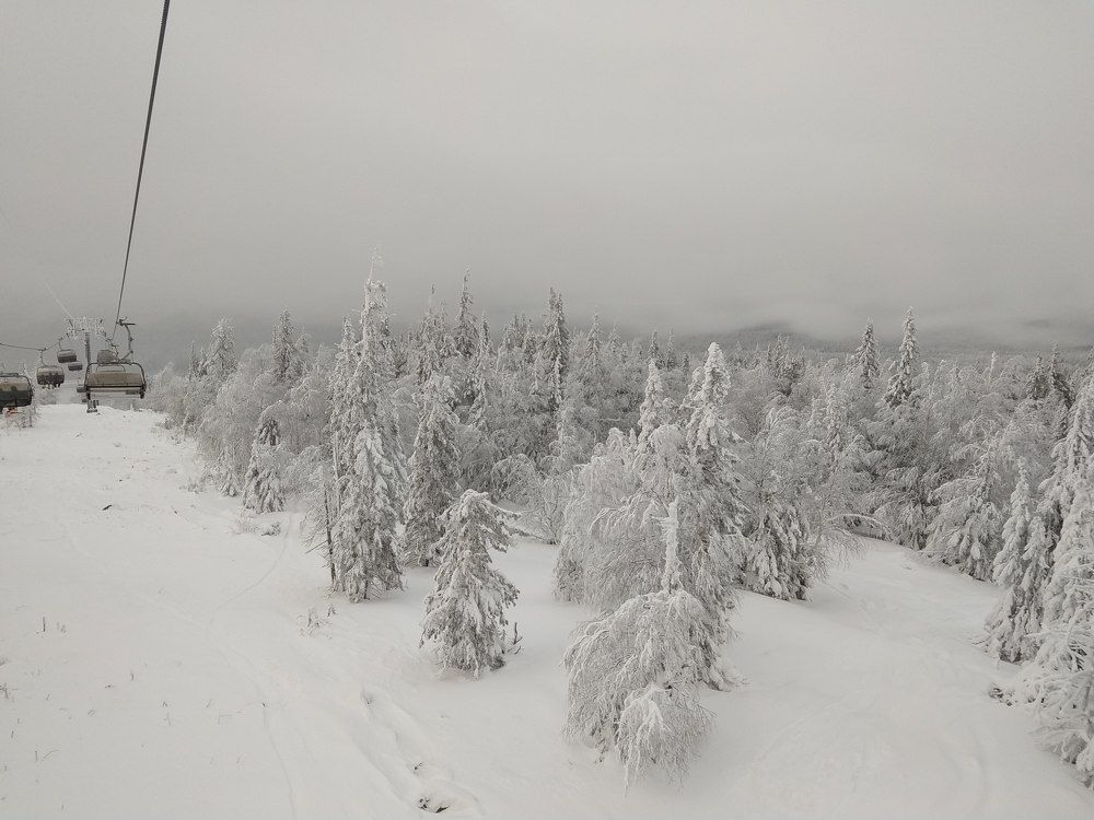 Photo #5622442