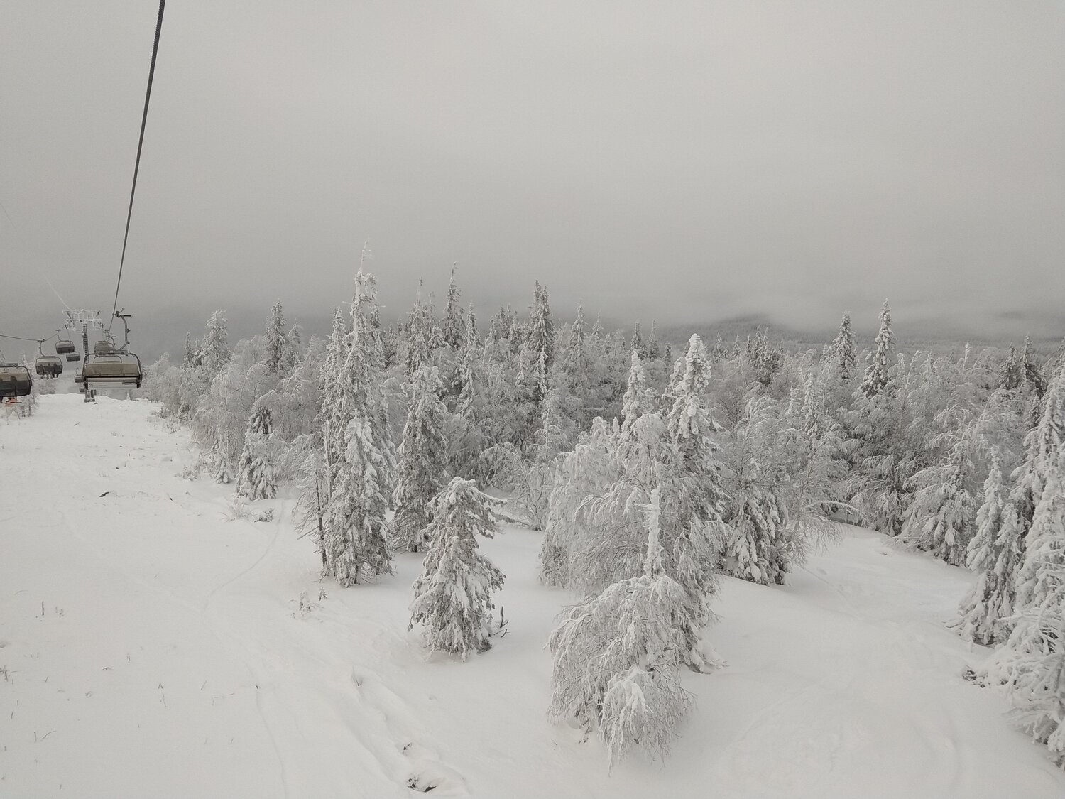 Photo #5622442