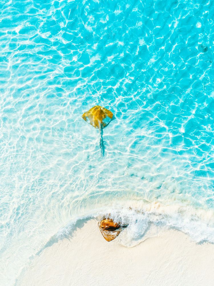 Photograph by Nazim Ahmed