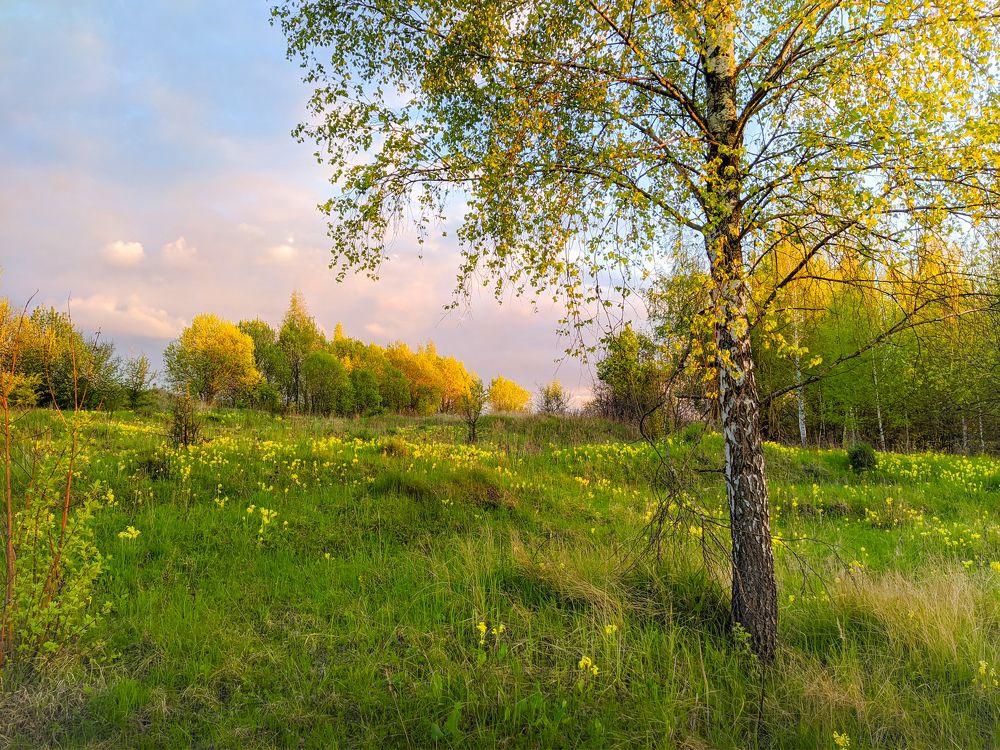 Photograph by Светлана Кондрашова