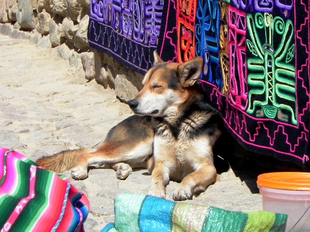 Photograph by RODRIGO SARACENI