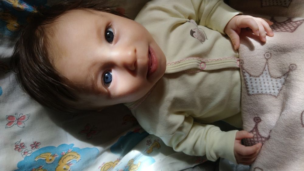 Photo #5622625