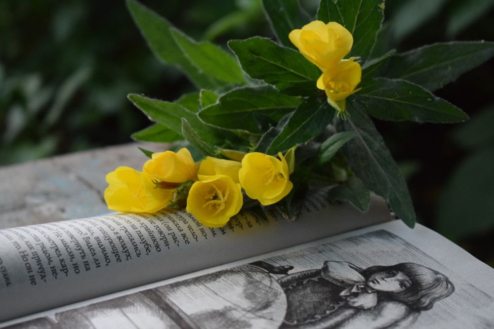 Photograph by Татьяна Дорожко