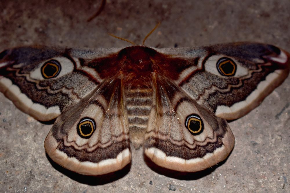 Photograph by Татьяна Дорожко