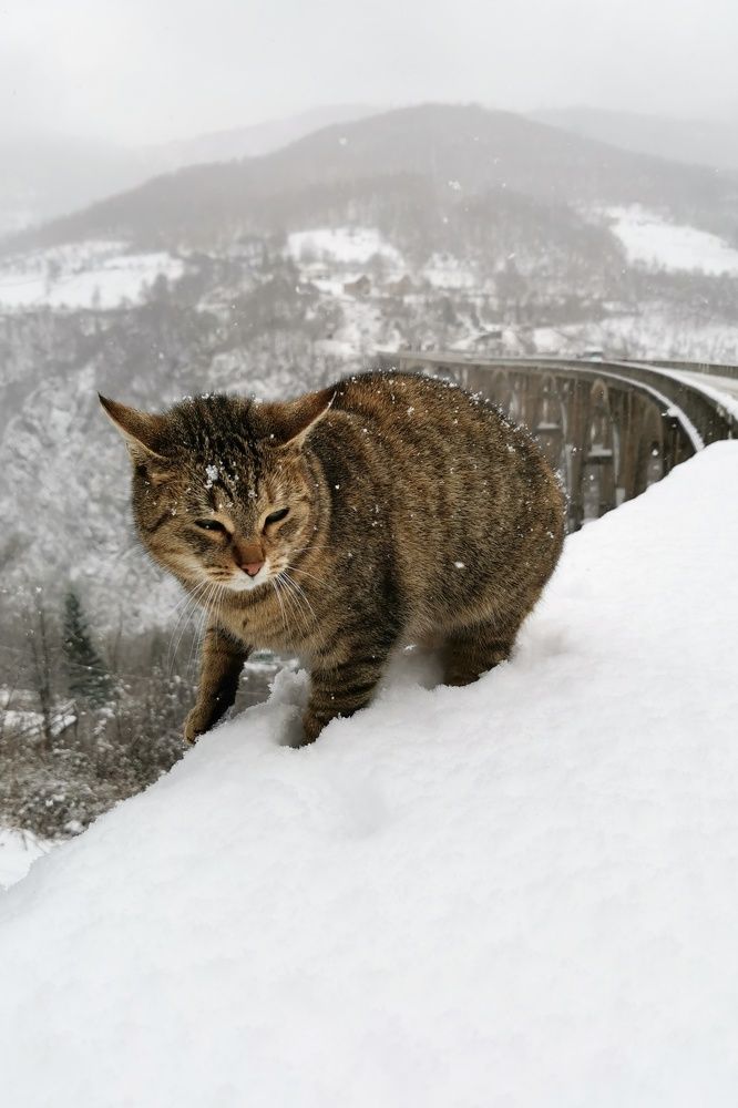 Photograph by Анна Сохрякова