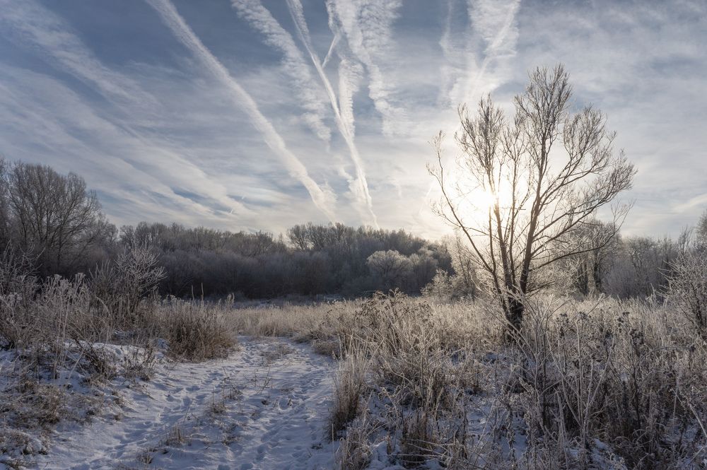 Photograph by Светлана Кондрашова