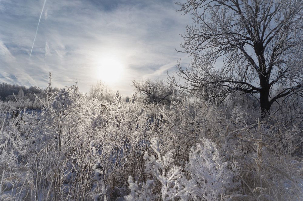 Photograph by Светлана Кондрашова