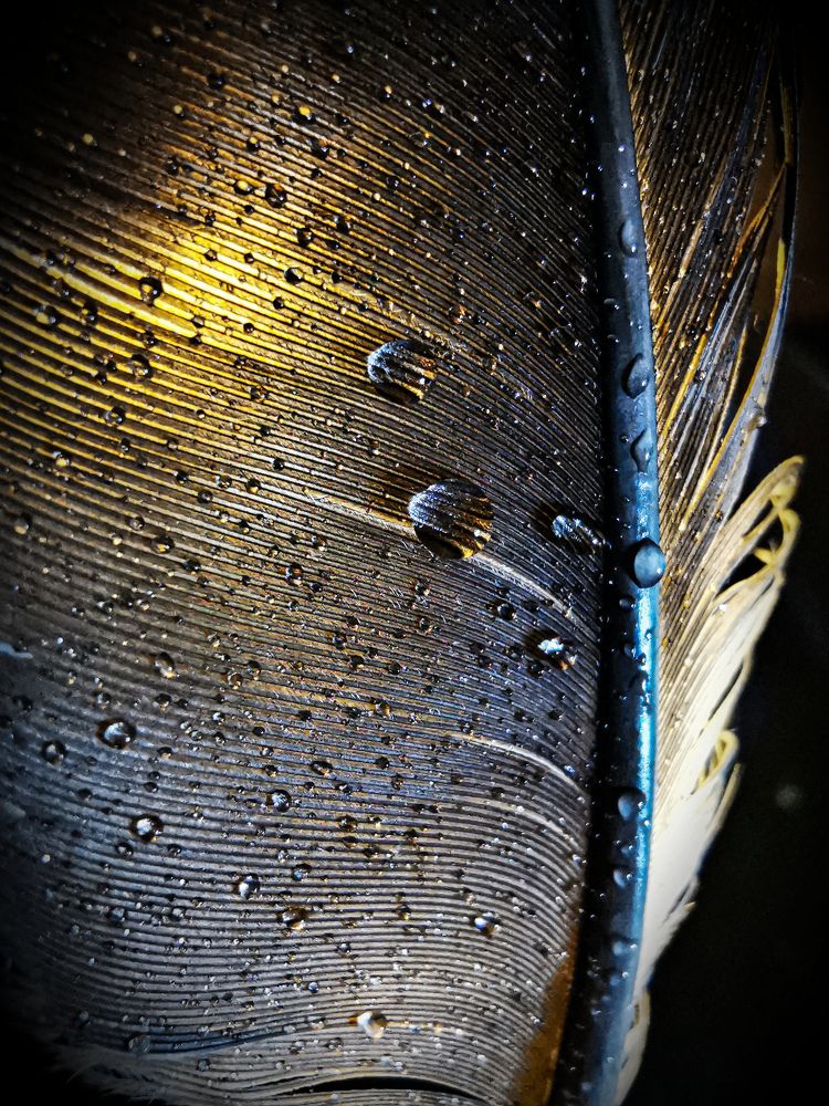 Photograph by Юлия Иванова