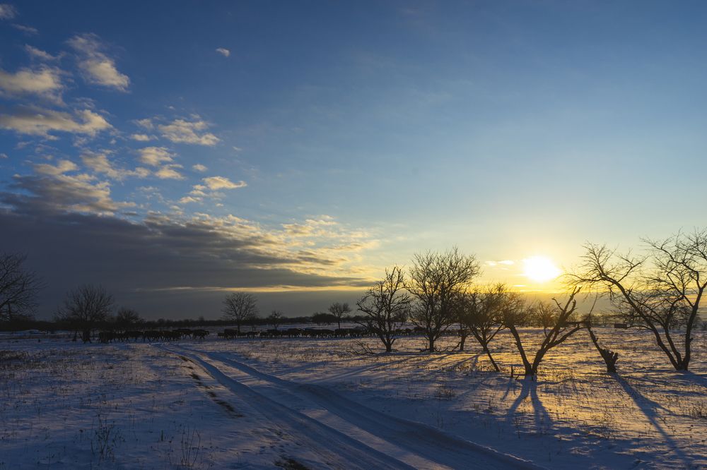 Photograph by Виктор Зотов